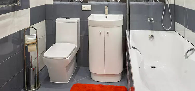 Hansgrohe Shaving Mirror Daly City